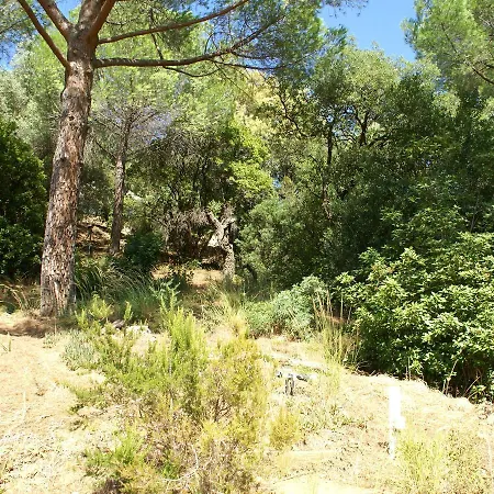 Charming In Cavalaire-sur-mer With Pool *